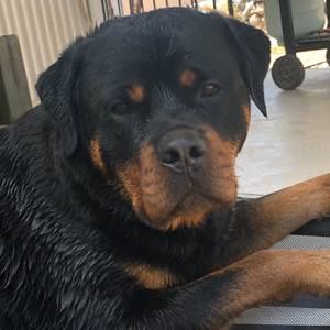 Meet your Posher, Lana